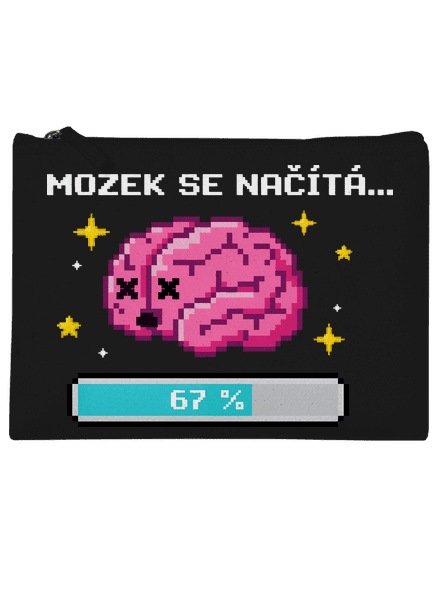 Mozek se načítá