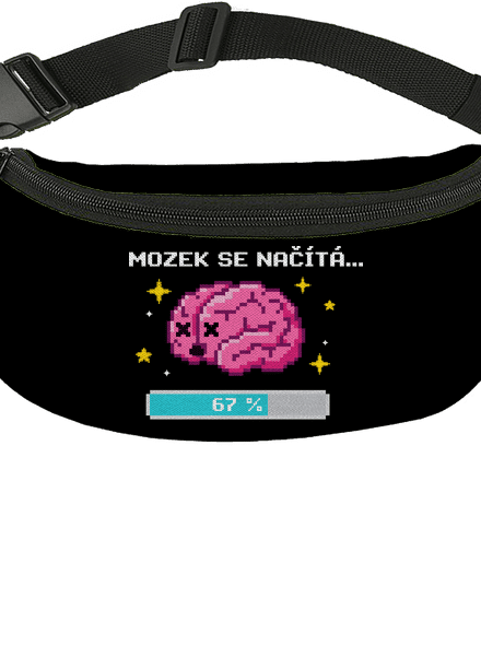 Mozek se načítá