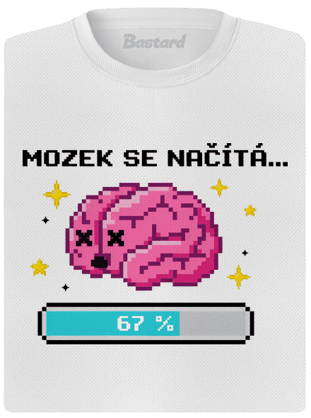 Mozek se načítá