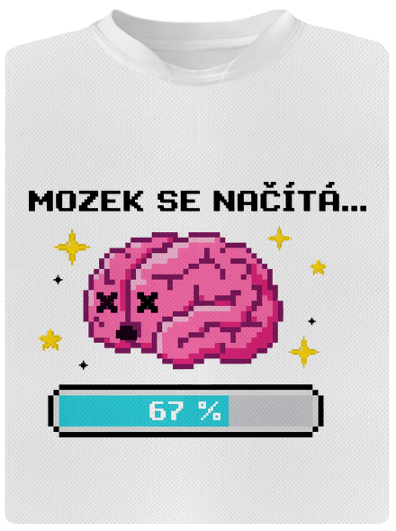 Mozek se načítá