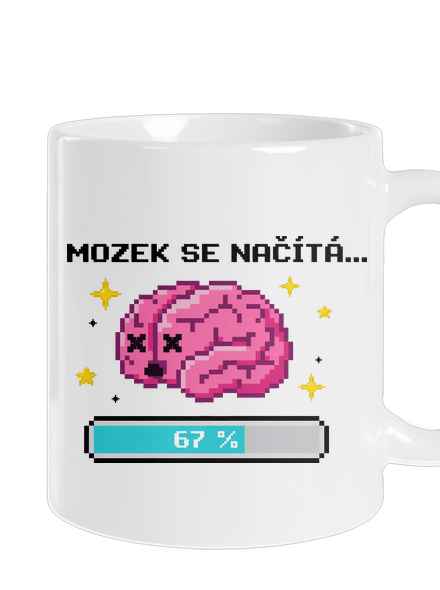 Mozek se načítá