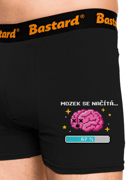 Mozek se načítá