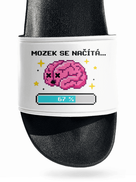 Mozek se načítá
