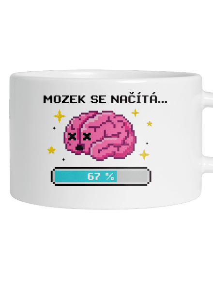 Mozek se načítá