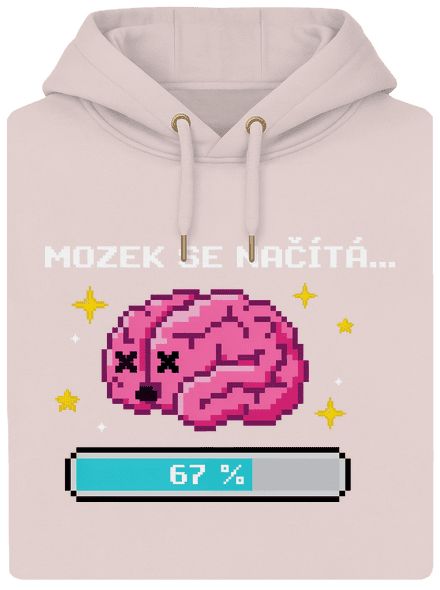 Mozek se načítá