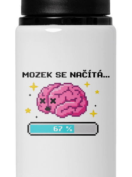 Mozek se načítá