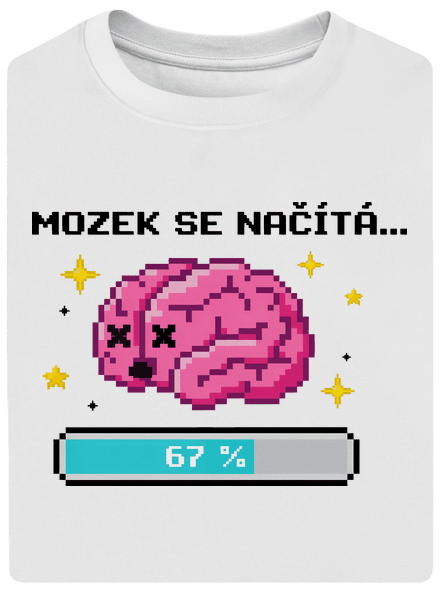 Mozek se načítá