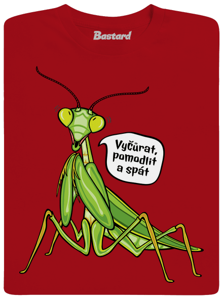 Kudlanka nábožná
