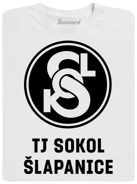 TJ Sokol Šlapanice 2