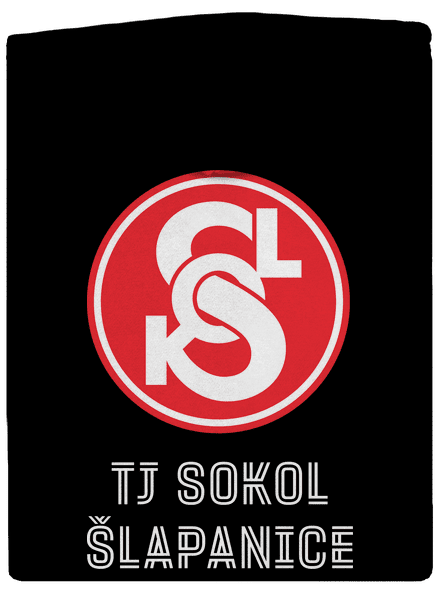 TJ Sokol Šlapanice 3