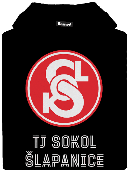 TJ Sokol Šlapanice 3