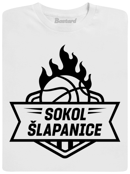TJ Sokol Šlapanice - Basketbal 2