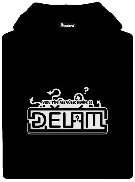 B20: Vedu tým