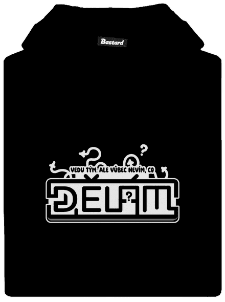 B20: Vedu tým