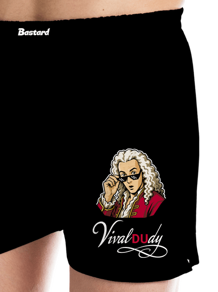 Vival dudy