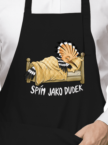 Spím jako dudek