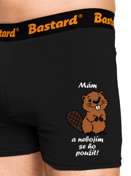Mám bobra