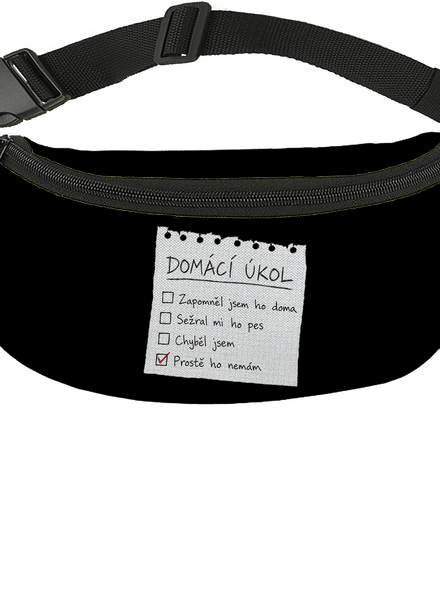 Domácí úkol