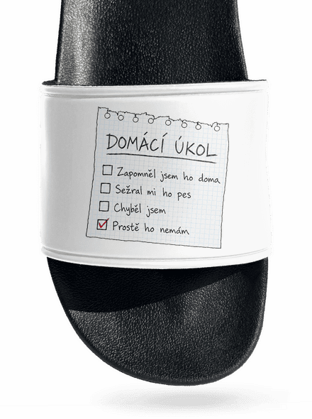 Domácí úkol