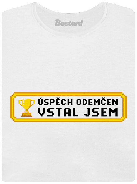 Vstal jsem