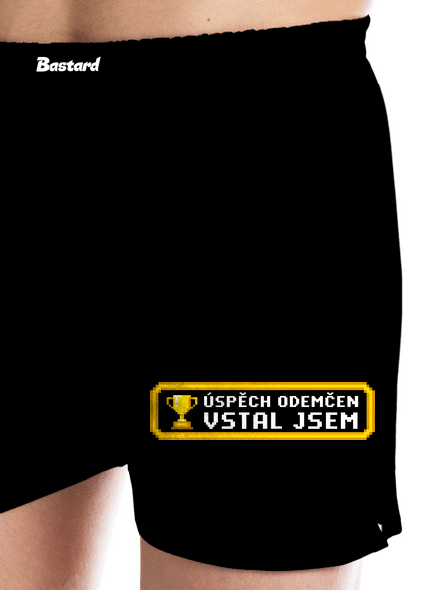 Vstal jsem