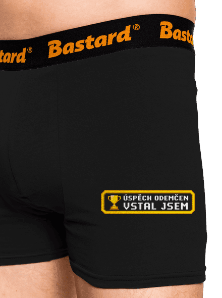 Vstal jsem