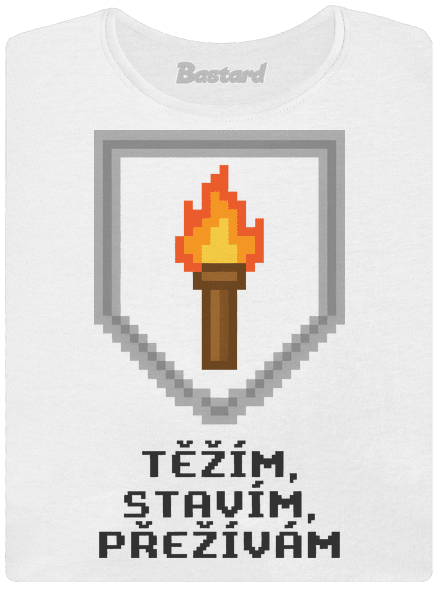 Těžím, stavím