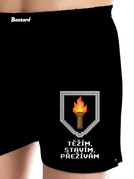 Těžím, stavím