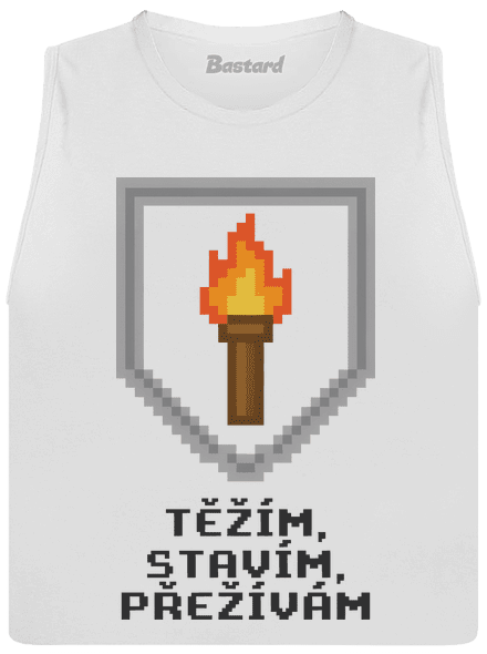 Těžím, stavím