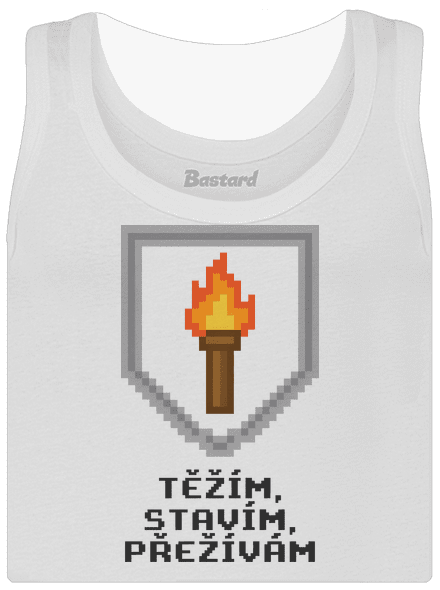 Těžím, stavím