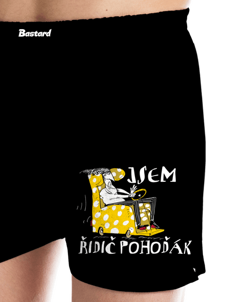 Řidič pohoďák