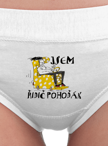 Řidič pohoďák