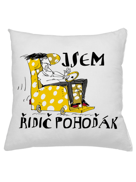 Řidič pohoďák