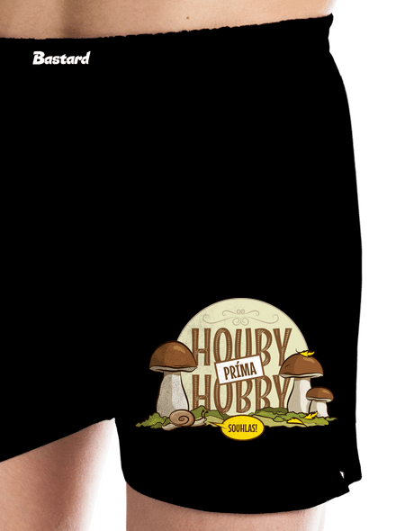 Houby hobby