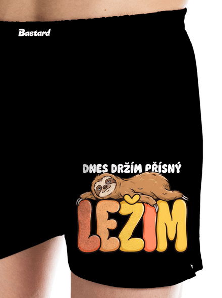 Přísný ležim
