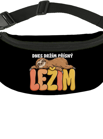 Přísný ležim