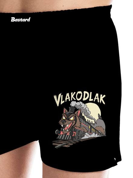 Vlakodlak