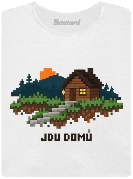 Jdu domů