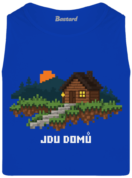 Jdu domů