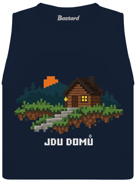 Jdu domů