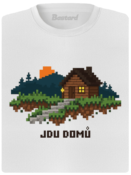 Jdu domů