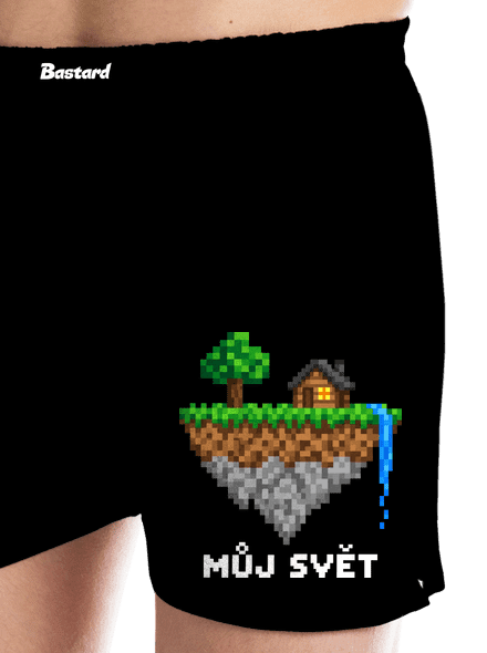 Můj svět