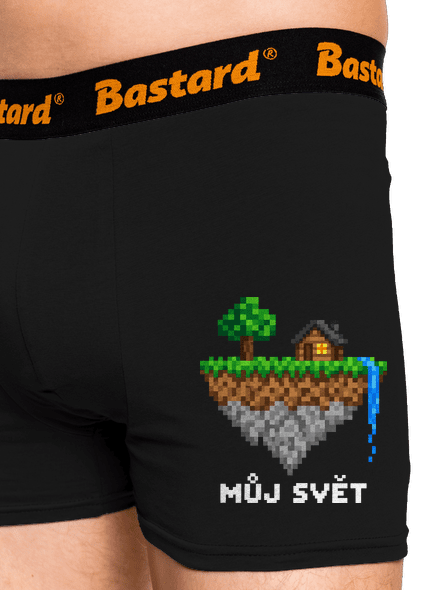 Můj svět