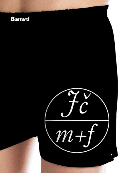 Logo JČMF