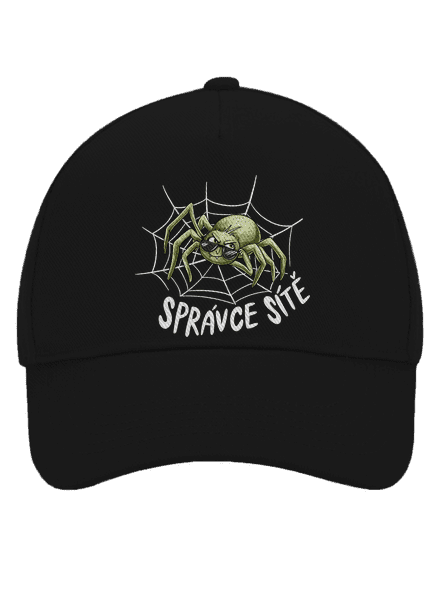 Správce sítě