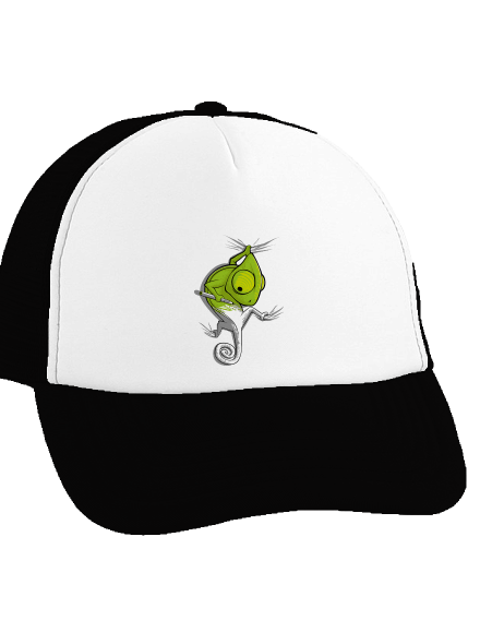 Zmizík kšiltovka Black cap
