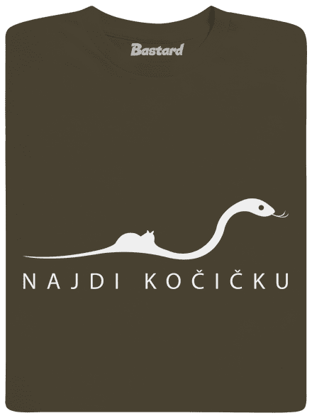 Najdi kočičku