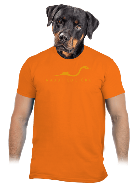 Najdi kočičku pánské tričko Orange