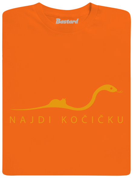 Najdi kočičku