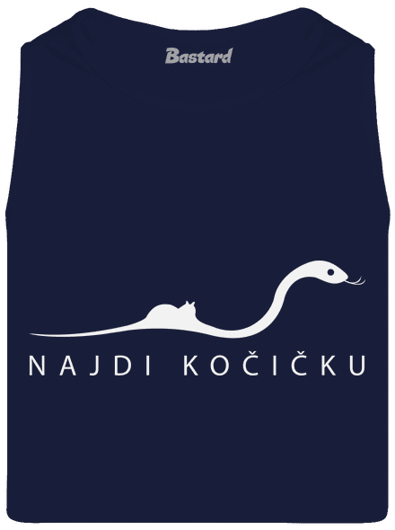 Najdi kočičku